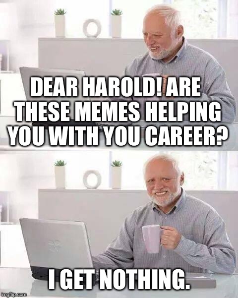 Hide the Pain Harold Meme | DEAR HAROLD! ARE THESE MEMES HELPING YOU WITH YOU CAREER? I GET NOTHING. | image tagged in memes,hide the pain harold | made w/ Imgflip meme maker
