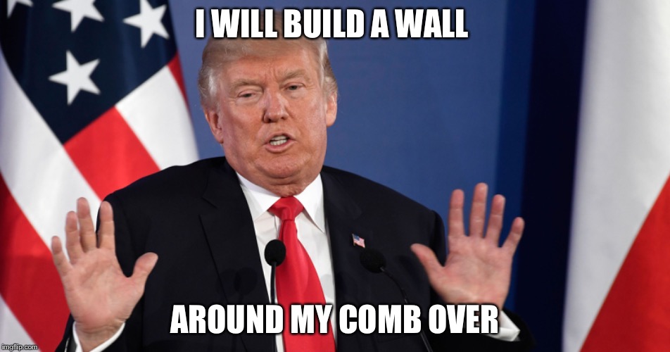 I WILL BUILD A WALL; AROUND MY COMB OVER | image tagged in donald trump,build a wall | made w/ Imgflip meme maker