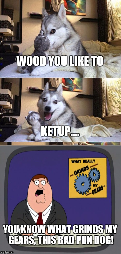 Bad Pun Dog | WOOD YOU LIKE TO; KETUP.... YOU KNOW WHAT GRINDS MY GEARS, THIS BAD PUN DOG! | image tagged in memes,bad pun dog | made w/ Imgflip meme maker