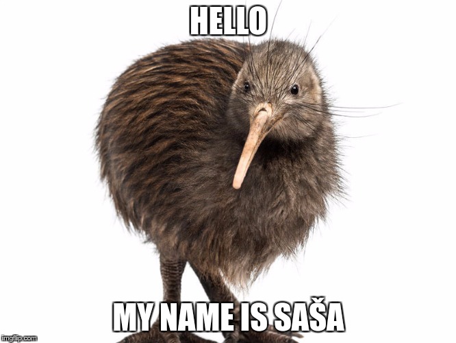 Kiwi | HELLO; MY NAME IS SAŠA | image tagged in kiwi | made w/ Imgflip meme maker