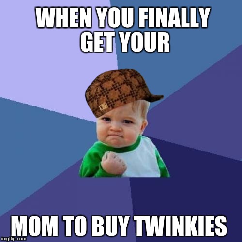 Success Kid Meme | WHEN YOU FINALLY  GET YOUR; MOM TO BUY TWINKIES | image tagged in memes,success kid,scumbag | made w/ Imgflip meme maker