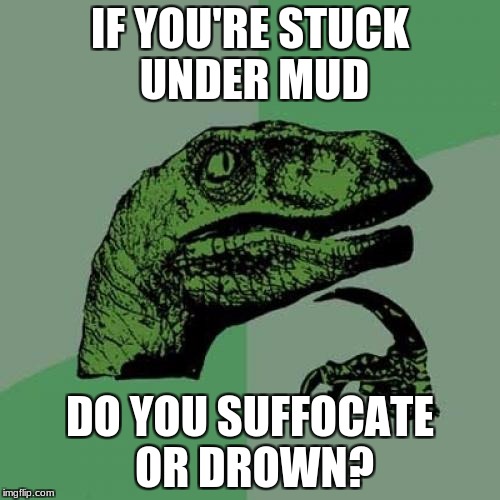 Philosoraptor Meme | IF YOU'RE STUCK UNDER MUD; DO YOU SUFFOCATE OR DROWN? | image tagged in memes,philosoraptor | made w/ Imgflip meme maker