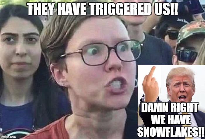 THEY HAVE TRIGGERED US!! DAMN RIGHT WE HAVE SNOWFLAKES!! | made w/ Imgflip meme maker