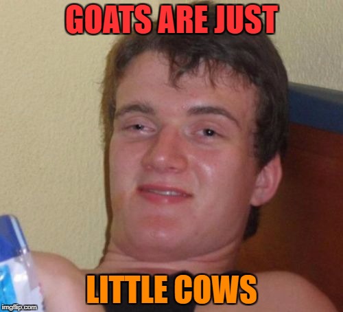 mind=blown | GOATS ARE JUST; LITTLE COWS | image tagged in memes,10 guy,funny,ssby | made w/ Imgflip meme maker