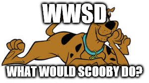 WWSD; WHAT WOULD SCOOBY DO? | image tagged in scoob | made w/ Imgflip meme maker