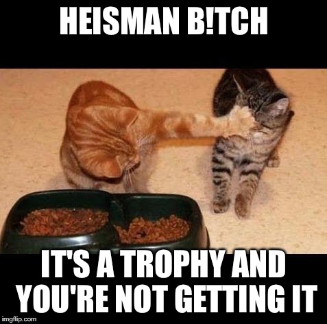 cats share food | HEISMAN B!TCH; IT'S A TROPHY AND YOU'RE NOT GETTING IT | image tagged in cats share food | made w/ Imgflip meme maker
