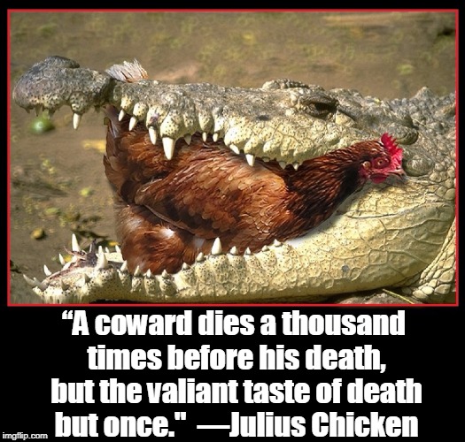 Facing the Jaws of Death Valiantly | “A coward dies a thousand times before his death, but the valiant taste of death but once."  —Julius Chicken | image tagged in alligator,little red hen,chicken in gator's mouth,vince vance,william shakespeare,julius ceasar | made w/ Imgflip meme maker
