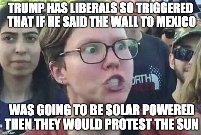 Triggered Liberal | TRUMP HAS LIBERALS SO TRIGGERED THAT IF HE SAID THE WALL TO MEXICO; WAS GOING TO BE SOLAR POWERED THEN THEY WOULD PROTEST THE SUN | image tagged in triggered liberal,college liberal,donald trump,hillary clinton,trump wall,wall | made w/ Imgflip meme maker