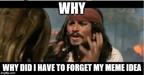 I'll probably remember like 2 weeks later. | WHY; WHY DID I HAVE TO FORGET MY MEME IDEA | image tagged in memes,why is the rum gone | made w/ Imgflip meme maker