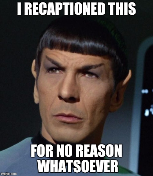 Spock | I RECAPTIONED THIS; FOR NO REASON WHATSOEVER | image tagged in spock | made w/ Imgflip meme maker