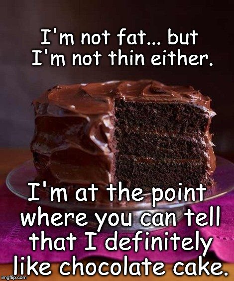 Chocolate Cake <3 | I'm not fat... but I'm not thin either. I'm at the point where you can tell that I definitely like chocolate cake. | image tagged in chocolate cake 3 | made w/ Imgflip meme maker