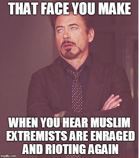 After Hundreds Of Years Of Enraged Rioting, It's Getting Boring | THAT FACE YOU MAKE; WHEN YOU HEAR MUSLIM EXTREMISTS ARE ENRAGED AND RIOTING AGAIN | image tagged in memes,face you make robert downey jr | made w/ Imgflip meme maker