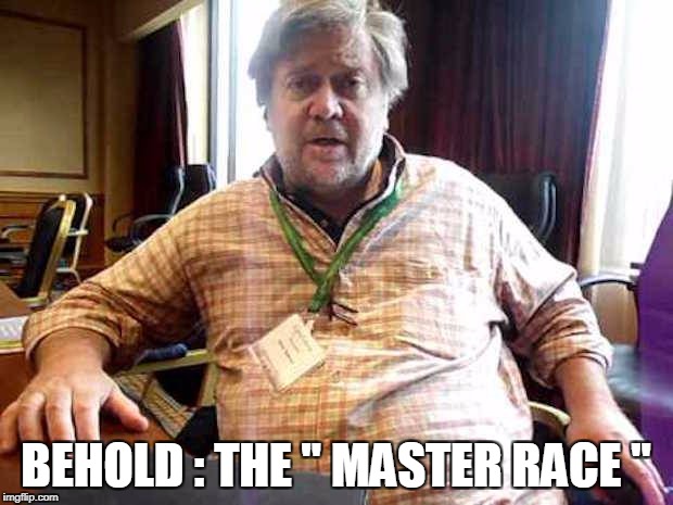BEHOLD : THE " MASTER RACE " | image tagged in steve bannon | made w/ Imgflip meme maker