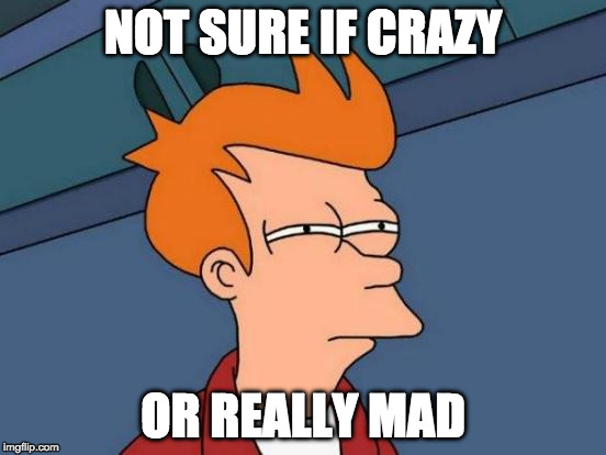 Futurama Fry Meme | NOT SURE IF CRAZY OR REALLY MAD | image tagged in memes,futurama fry | made w/ Imgflip meme maker