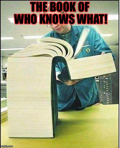 What I thought when I saw this book for the first time. | THE BOOK OF WHO KNOWS WHAT! | image tagged in big book,meme,funny memes,memes,funny meme | made w/ Imgflip meme maker