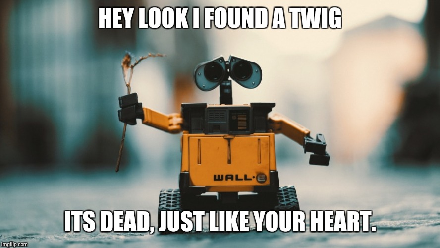 Wall-E be nice | HEY LOOK I FOUND A TWIG; ITS DEAD, JUST LIKE YOUR HEART. | image tagged in wall-e,memes | made w/ Imgflip meme maker