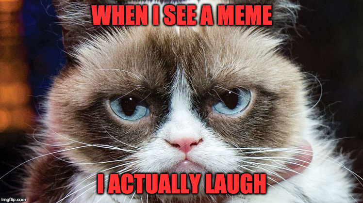 Grumpy cat's humor | WHEN I SEE A MEME; I ACTUALLY LAUGH | image tagged in grumpy cat | made w/ Imgflip meme maker
