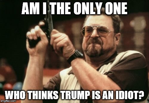 Am I The Only One Around Here | AM I THE ONLY ONE; WHO THINKS TRUMP IS AN IDIOT? | image tagged in memes,am i the only one around here | made w/ Imgflip meme maker