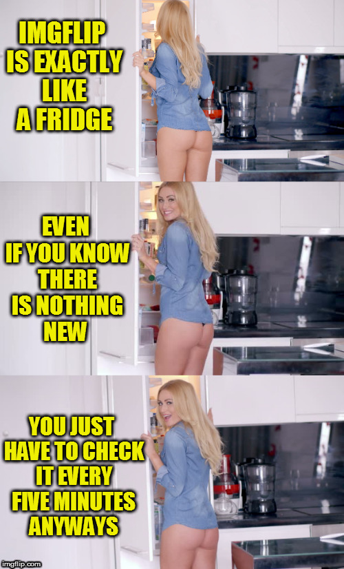 IMGFLIP IS EXACTLY LIKE A FRIDGE EVEN IF YOU KNOW THERE IS NOTHING NEW YOU JUST HAVE TO CHECK IT EVERY FIVE MINUTES ANYWAYS | made w/ Imgflip meme maker