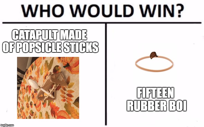 Who Would Win? Meme | CATAPULT MADE OF POPSICLE STICKS; FIFTEEN RUBBER BOI | image tagged in who would win | made w/ Imgflip meme maker