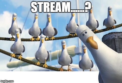 Finding Nemo Seagulls | STREAM......? | image tagged in finding nemo seagulls | made w/ Imgflip meme maker