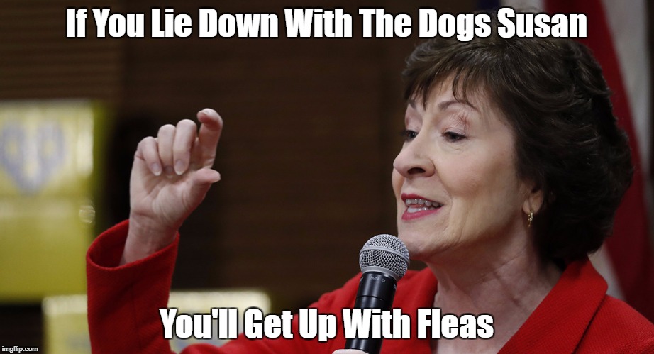 If You Lie Down With The Dogs Susan You'll Get Up With Fleas | made w/ Imgflip meme maker