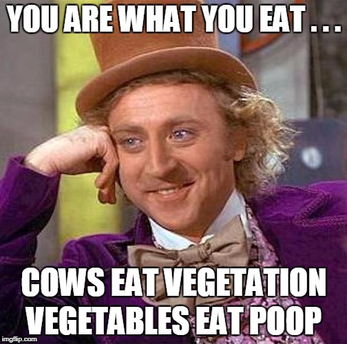 Creepy Condescending Wonka Meme | YOU ARE WHAT YOU EAT . . . VEGETABLES EAT POOP COWS EAT VEGETATION | image tagged in memes,creepy condescending wonka | made w/ Imgflip meme maker