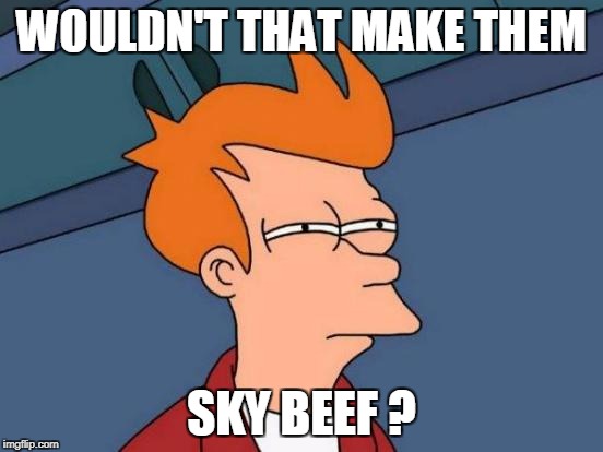 Futurama Fry Meme | WOULDN'T THAT MAKE THEM SKY BEEF ? | image tagged in memes,futurama fry | made w/ Imgflip meme maker