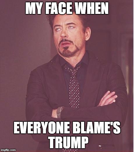Face You Make Robert Downey Jr Meme | MY FACE WHEN EVERYONE BLAME'S TRUMP | image tagged in memes,face you make robert downey jr | made w/ Imgflip meme maker
