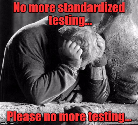 No More Tweets ! | No more standardized testing... Please no more testing... | image tagged in no more tweets | made w/ Imgflip meme maker