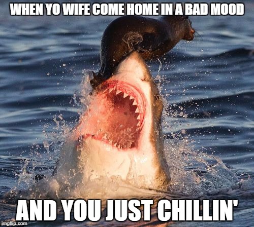 What was that, honey? | WHEN YO WIFE COME HOME IN A BAD MOOD; AND YOU JUST CHILLIN' | image tagged in memes,travelonshark,marriage | made w/ Imgflip meme maker