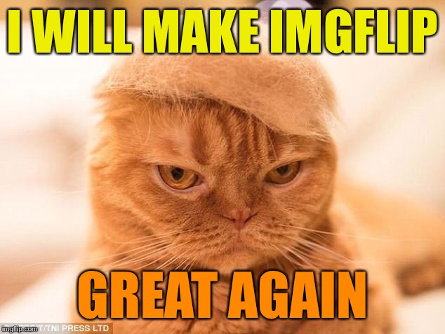 MIGA | I WILL MAKE IMGFLIP; GREAT AGAIN | image tagged in memes,miga,raycat | made w/ Imgflip meme maker
