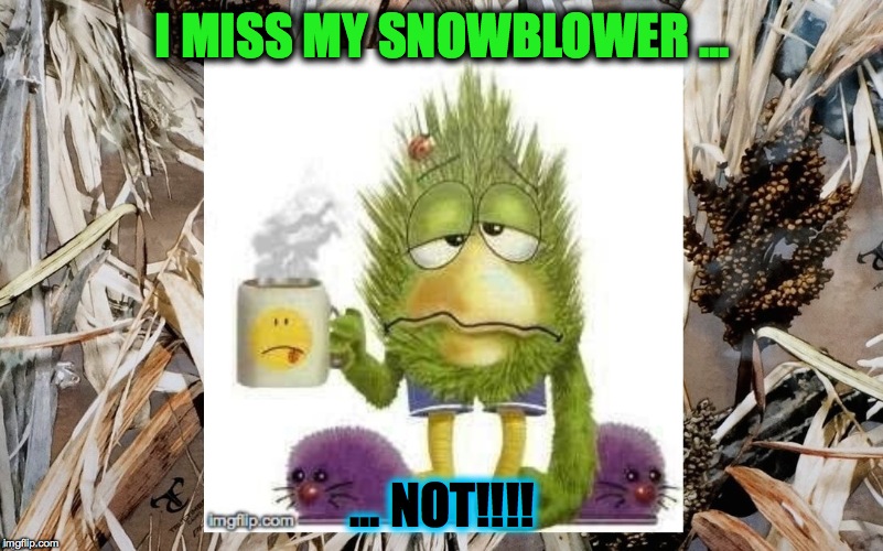 My old snowblower used to backfire while I was using it .... | I MISS MY SNOWBLOWER ... ... NOT!!!! | image tagged in gunshot sounds - | made w/ Imgflip meme maker