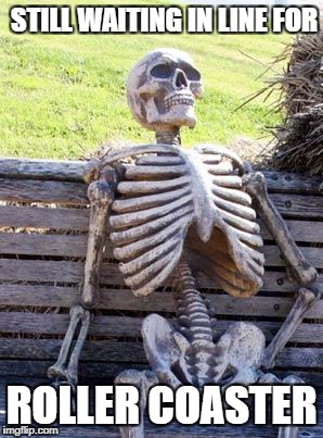 Waiting Skeleton | STILL WAITING IN LINE FOR; ROLLER COASTER | image tagged in memes,waiting skeleton | made w/ Imgflip meme maker