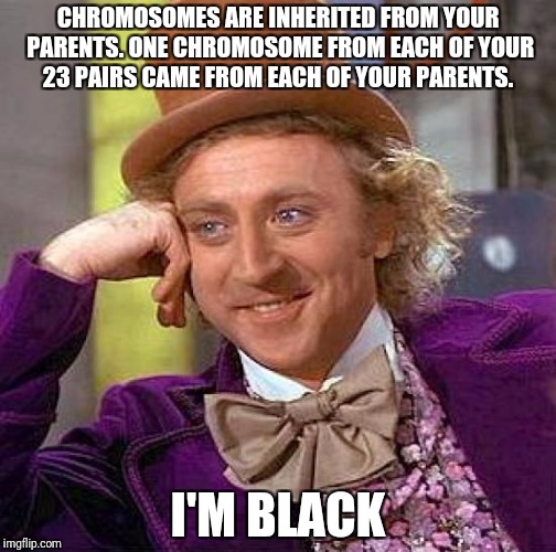 Creepy Condescending Wonka Meme | CHROMOSOMES ARE INHERITED FROM YOUR PARENTS. ONE CHROMOSOME FROM EACH OF YOUR 23 PAIRS CAME FROM EACH OF YOUR PARENTS. I'M BLACK | image tagged in memes,creepy condescending wonka | made w/ Imgflip meme maker