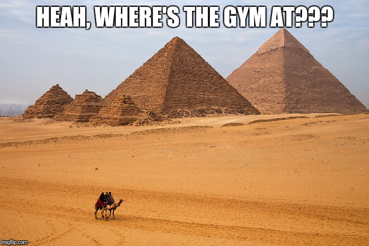 Giza Gainzzz | HEAH, WHERE'S THE GYM AT??? | image tagged in humor,hump day,gym | made w/ Imgflip meme maker