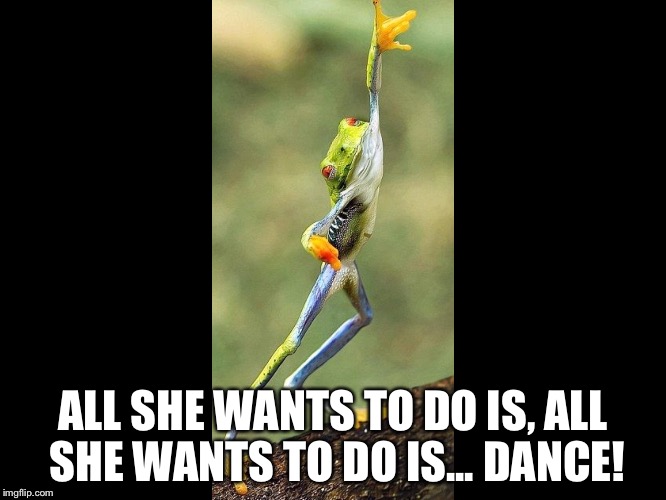 ALL SHE WANTS TO DO IS, ALL SHE WANTS TO DO IS... DANCE! | image tagged in funnymemes | made w/ Imgflip meme maker