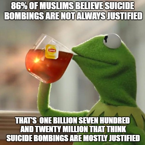 But That's None Of My Business Meme | 86% OF MUSLIMS BELIEVE SUICIDE BOMBINGS ARE NOT ALWAYS JUSTIFIED; THAT'S  ONE BILLION SEVEN HUNDRED AND TWENTY MILLION THAT THINK SUICIDE BOMBINGS ARE MOSTLY JUSTIFIED | image tagged in memes,but thats none of my business,kermit the frog | made w/ Imgflip meme maker