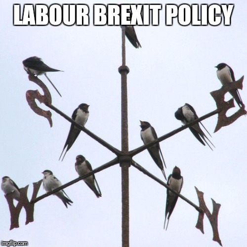 LABOUR BREXIT POLICY | image tagged in labour brexit policy | made w/ Imgflip meme maker