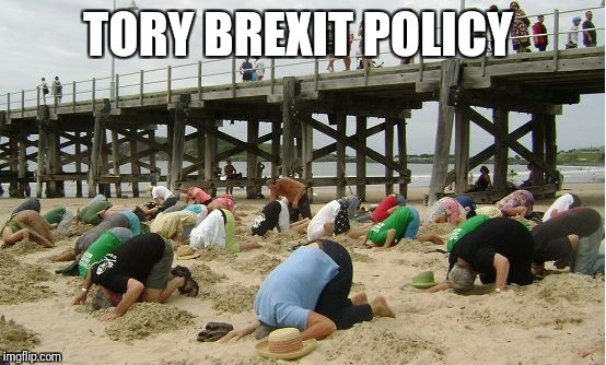 TORY BREXIT POLICY | image tagged in tory brexit policy | made w/ Imgflip meme maker