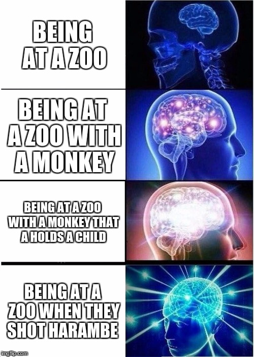 Expanding Brain Meme | BEING AT A ZOO; BEING AT A ZOO WITH A MONKEY; BEING AT A ZOO WITH A MONKEY THAT A HOLDS A CHILD; BEING AT A ZOO WHEN THEY SHOT HARAMBE | image tagged in memes,expanding brain | made w/ Imgflip meme maker
