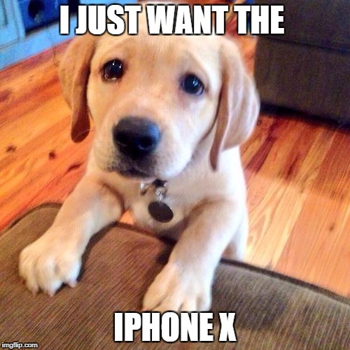 Puppy dog eyes | I JUST WANT THE; IPHONE X | image tagged in puppy dog eyes | made w/ Imgflip meme maker