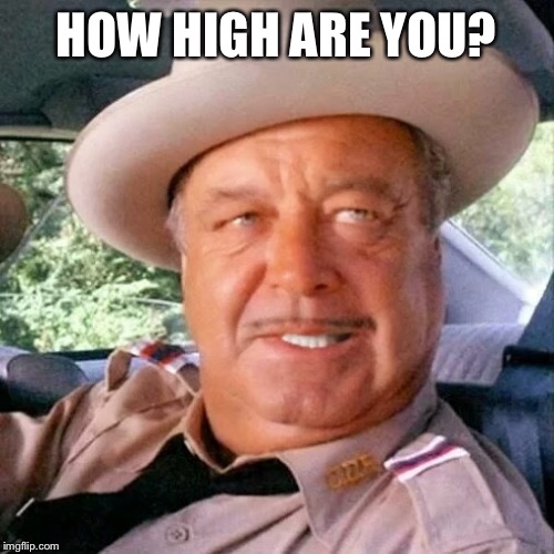  HOW HIGH ARE YOU? | image tagged in sherrith buffith | made w/ Imgflip meme maker