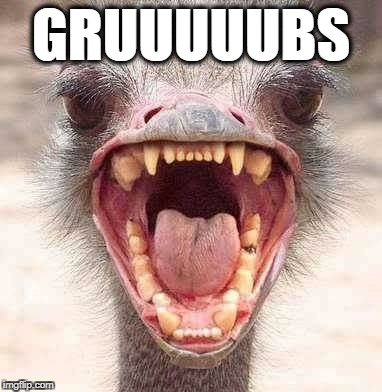 Grubs |  GRUUUUUBS | image tagged in emu,grubs,yell | made w/ Imgflip meme maker