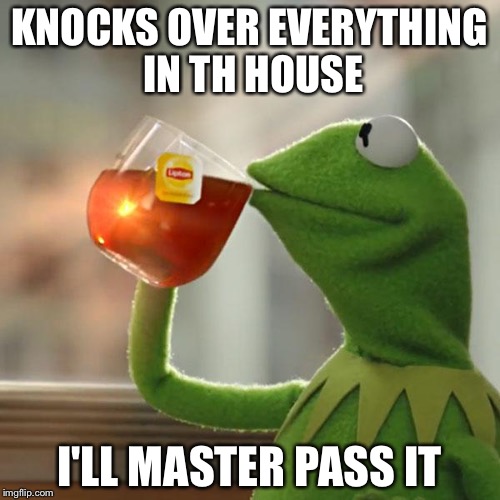 But That's None Of My Business Meme | KNOCKS OVER EVERYTHING IN TH HOUSE; I'LL MASTER PASS IT | image tagged in memes,but thats none of my business,kermit the frog | made w/ Imgflip meme maker