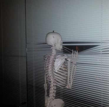 Skeleton waiting at window Blank Meme Template