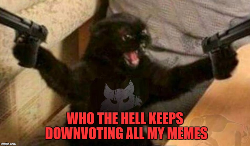 WHO THE HELL KEEPS DOWNVOTING ALL MY MEMES | made w/ Imgflip meme maker