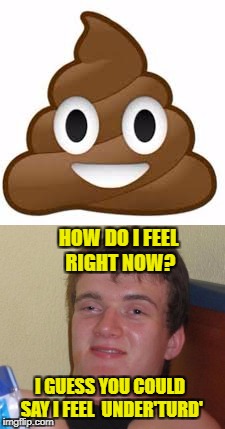Thanks For Asking | HOW DO I FEEL RIGHT NOW? I GUESS YOU COULD SAY I FEEL  UNDER'TURD' | image tagged in memes,meme,10 guy,poop | made w/ Imgflip meme maker
