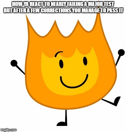 happy firey | HOW YA REACT TO NEARLY FAILING A MAJOR TEST BUT AFTER A FEW CORRECTIONS YOU MANAGE TO PASS IT | image tagged in happy firey | made w/ Imgflip meme maker