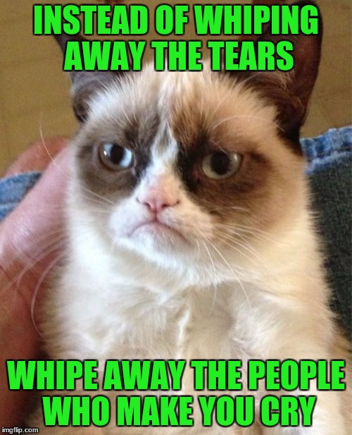Grumpy Cat | INSTEAD OF WHIPING AWAY THE TEARS; WHIPE AWAY THE PEOPLE WHO MAKE YOU CRY | image tagged in memes,grumpy cat | made w/ Imgflip meme maker